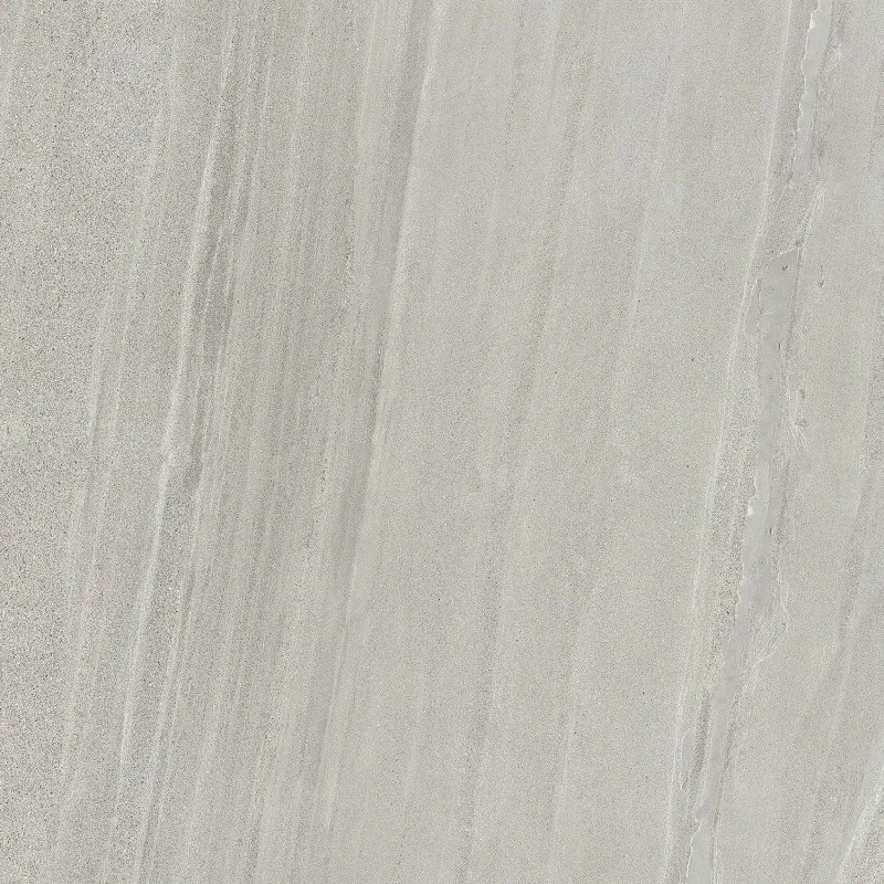 SW6602 600*600 Matte Porcelain Tiles
