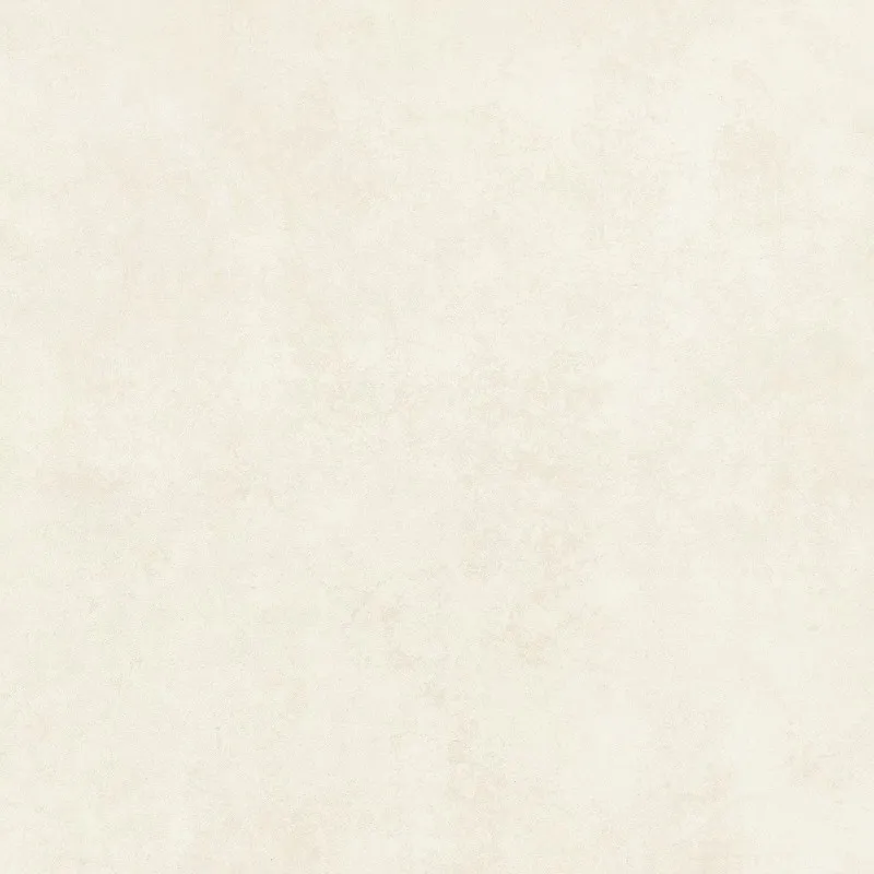 SW6605 600*600 Matte Porcelain Tiles