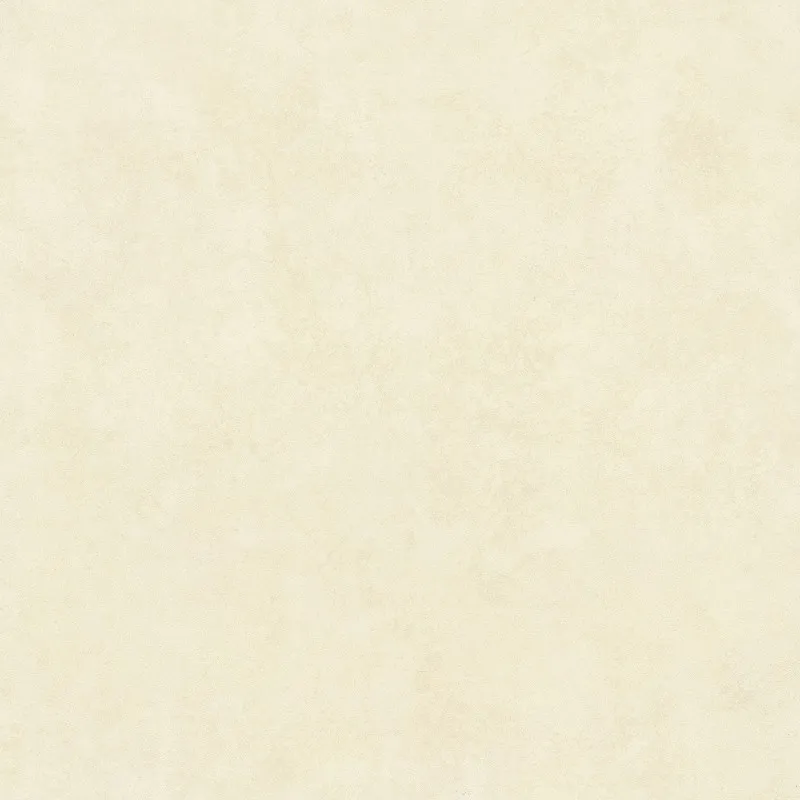 SW6606 600*600 Matte Porcelain Tiles