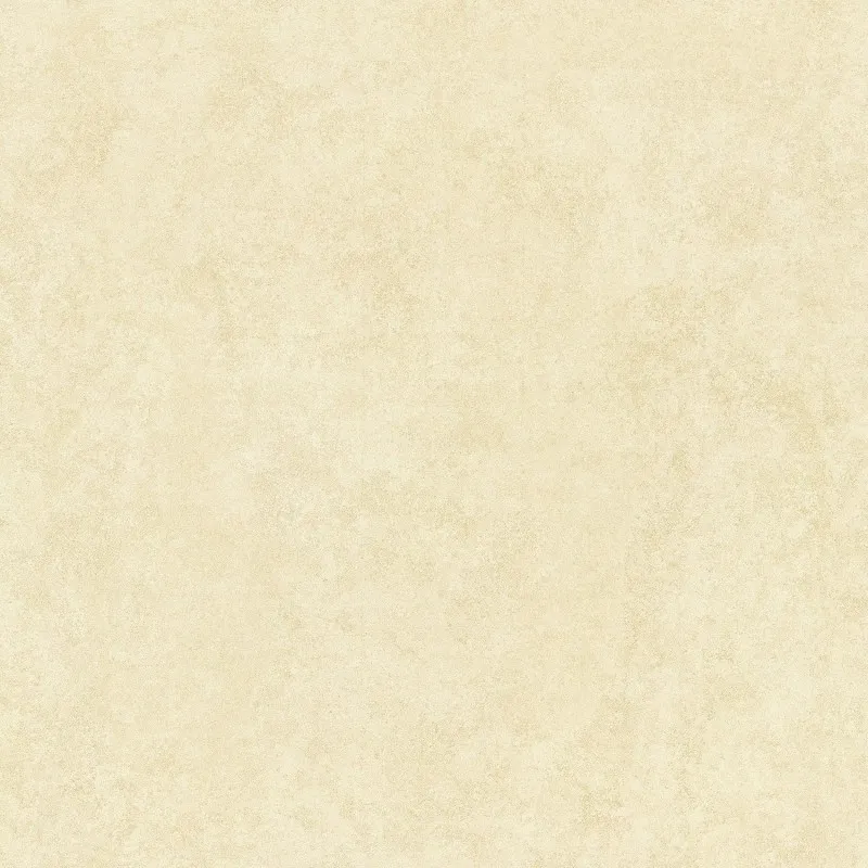 SW6608 600*600 Matte Porcelain Tiles
