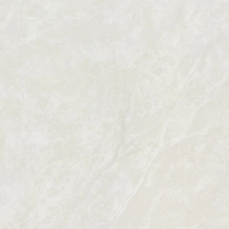 SW6610 600*600 Matte Porcelain Tiles
