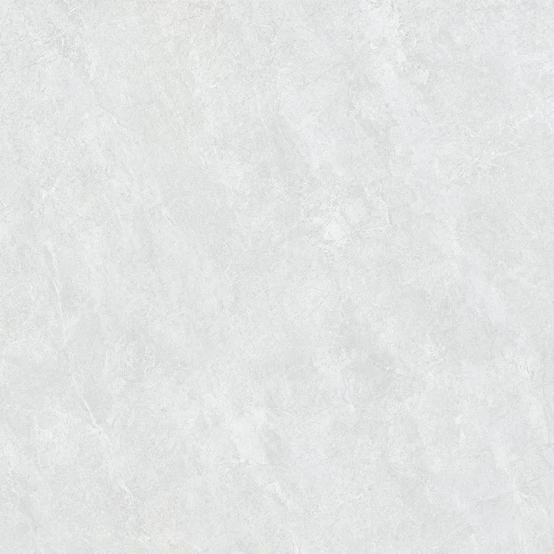 SW6611 600*600 Matte Porcelain Tiles