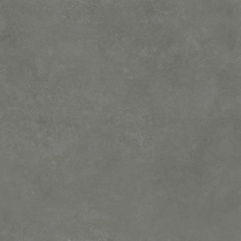 SW6613 600*600 Matte Porcelain Tiles