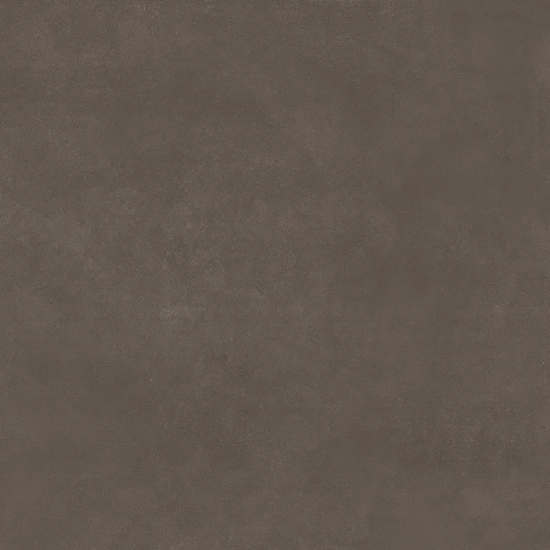 SW6614 600*600 Matte Porcelain Tiles