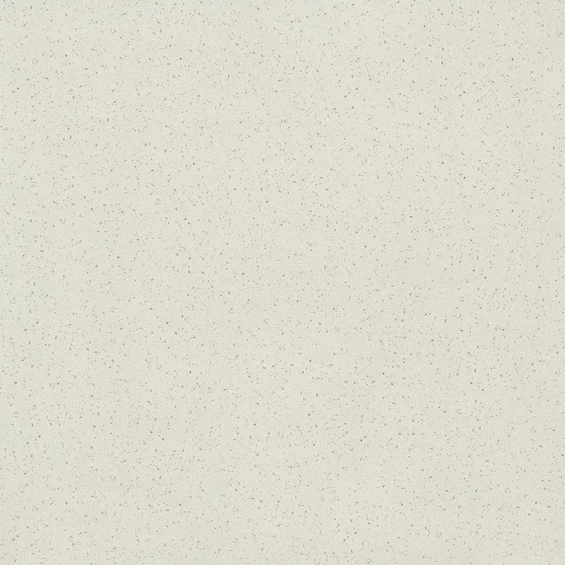 SW6616 600*600 Matte Porcelain Tiles