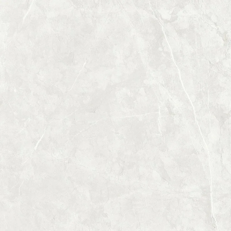 SW6622 600*600 Matte Porcelain Tiles