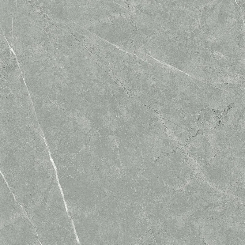 SW6623 600*600 Matte Porcelain Tiles