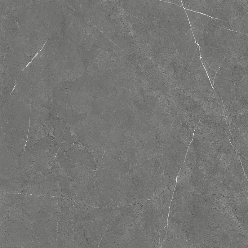 SW6624 600*600 Matte Porcelain Tiles