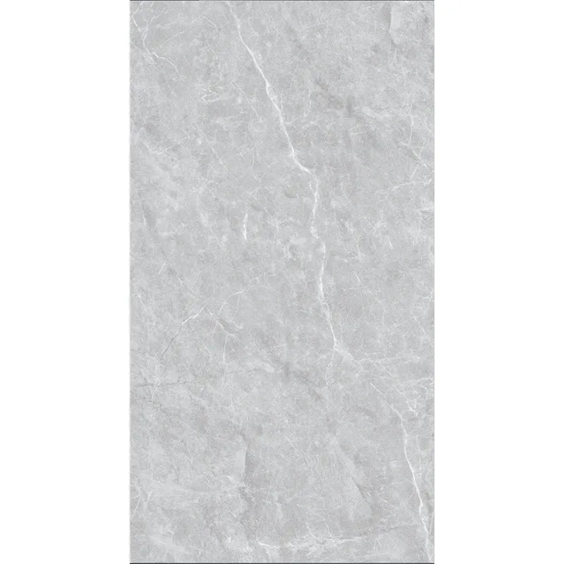 CY12053 600*1200 Matte Porcelain Tiles