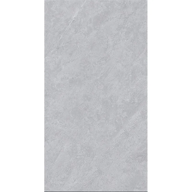CY12056 600*1200 Matte Porcelain Tiles