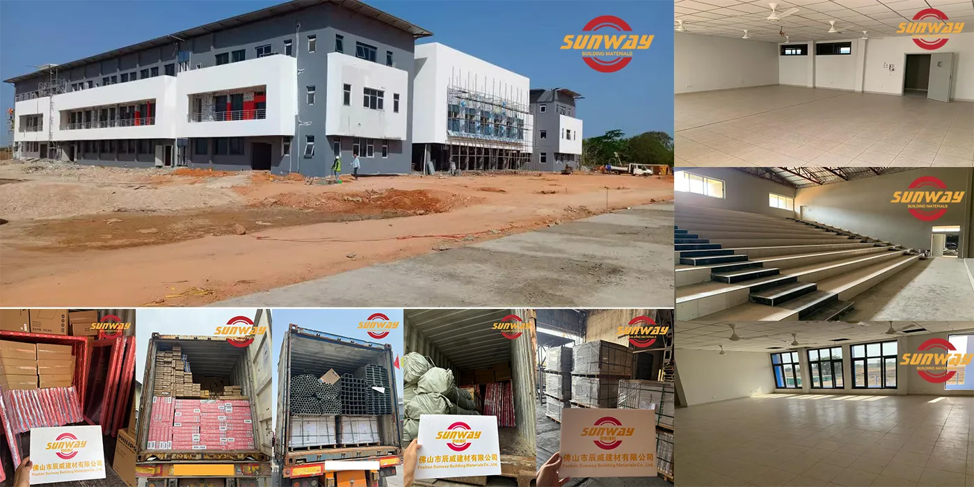 Africa higher education centre of excellence development impact project