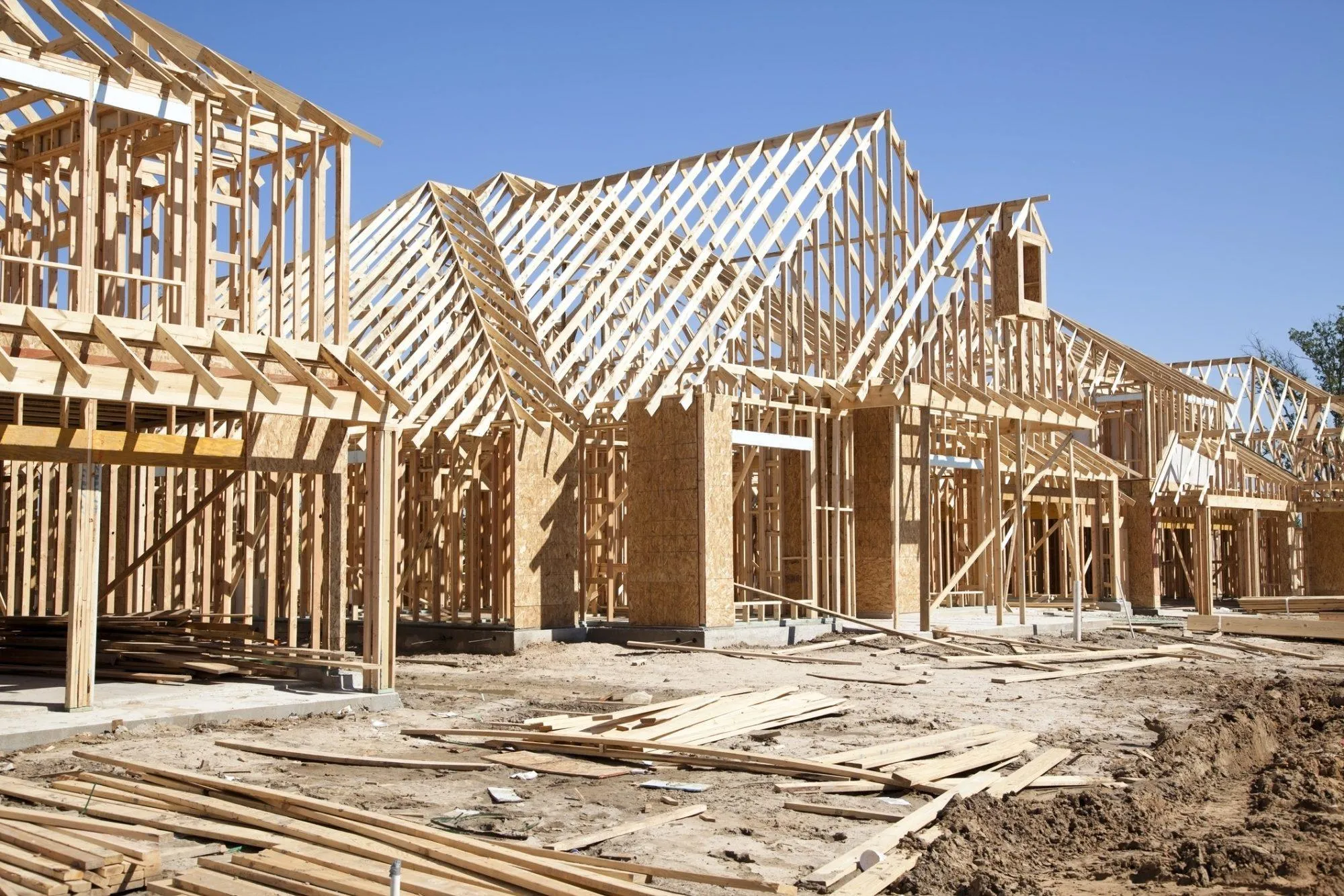 Why Are More African Contractors Choosing New Zealand Radiata Pine Timber?